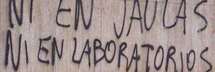 assholevegan's profile banner image