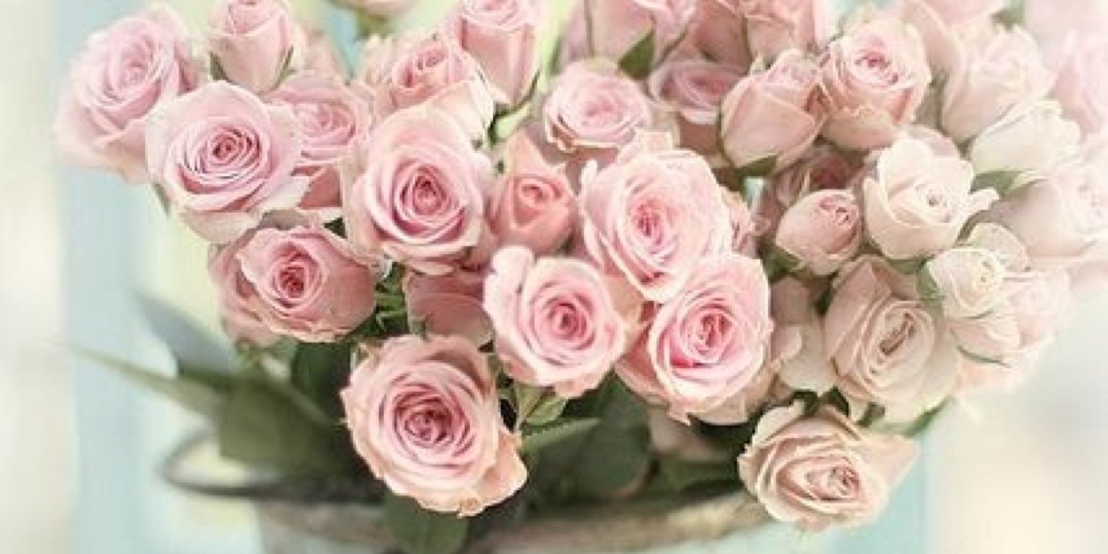 SharaPutri93's profile banner image