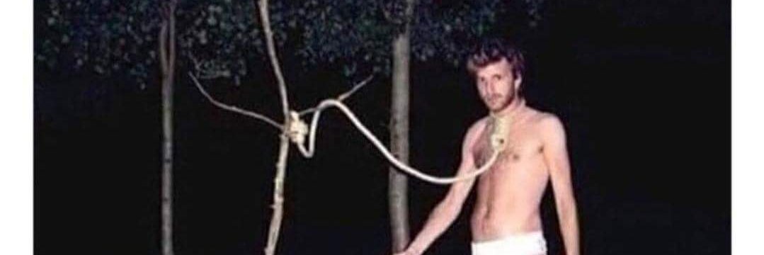 Woof expert en camping banner