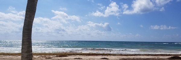 bibster19 Profile Banner