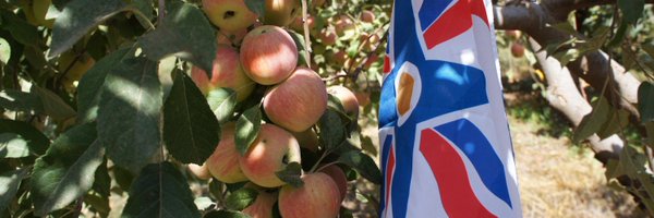 AssyrianAidCA Profile Banner