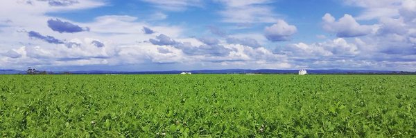 DavKee43 Profile Banner