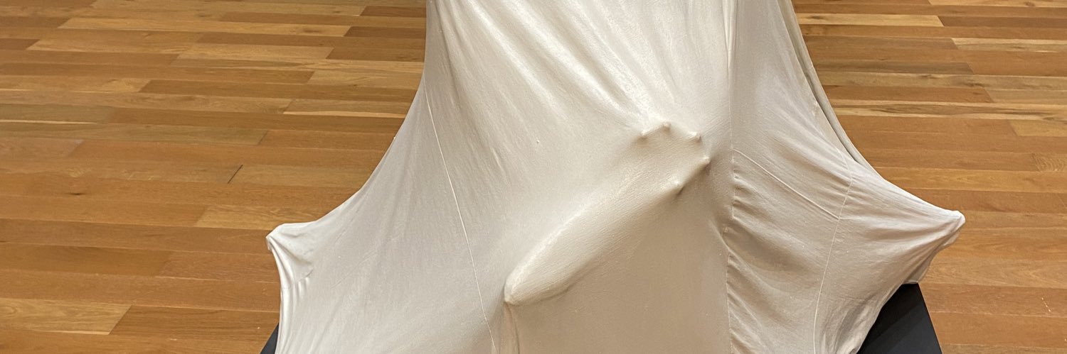 Maiannee's profile banner image