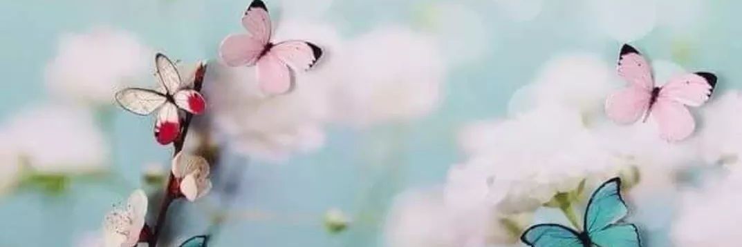abeer44033's profile banner image