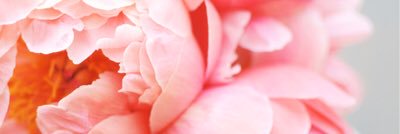 AbbieAddotta's profile banner image