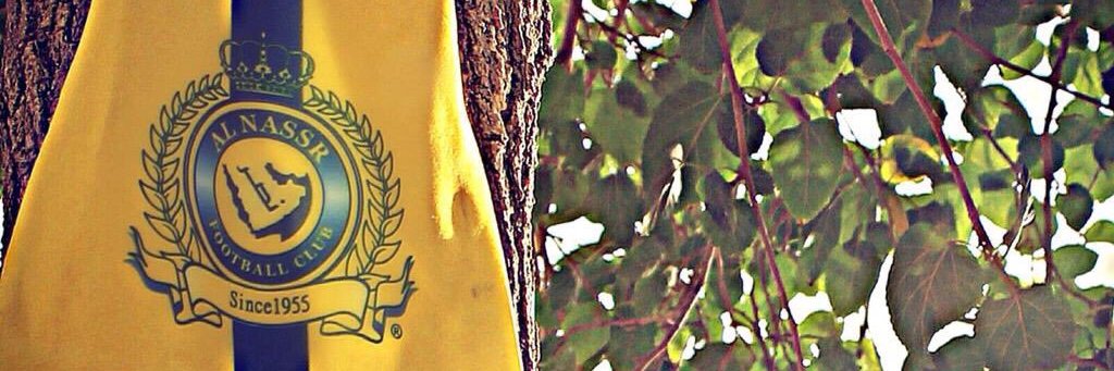الفاروق بن احمد banner