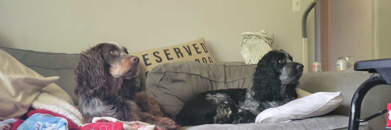 brownbear112's profile banner image