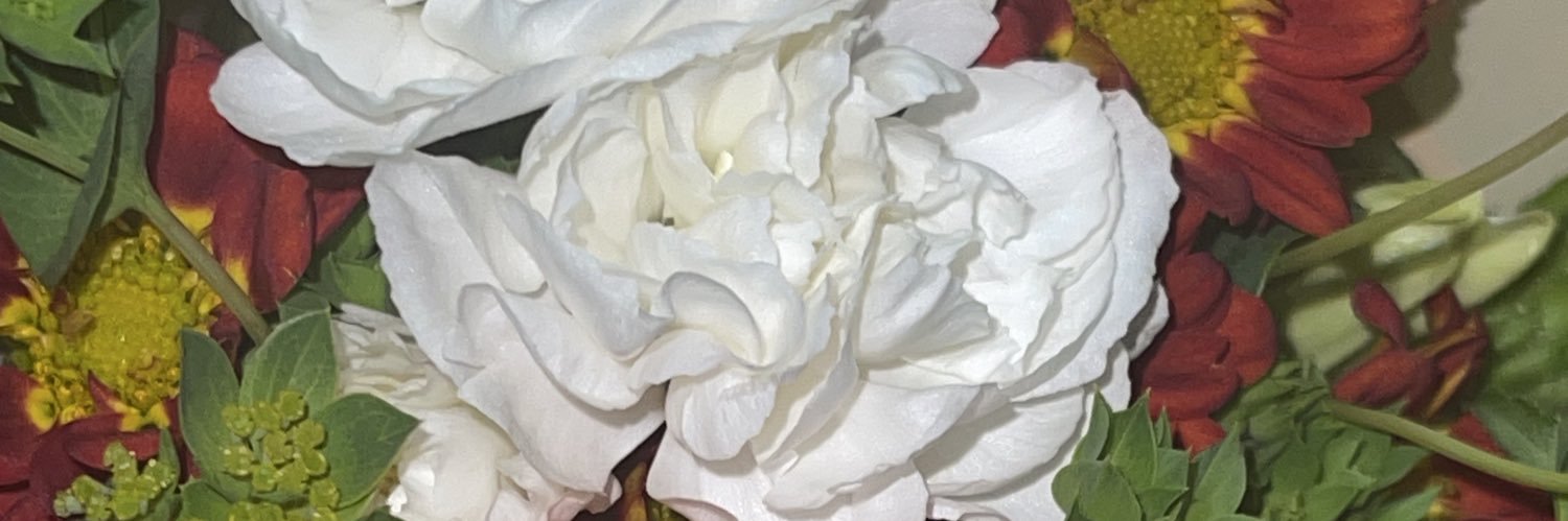 urfavxogrl's profile banner image