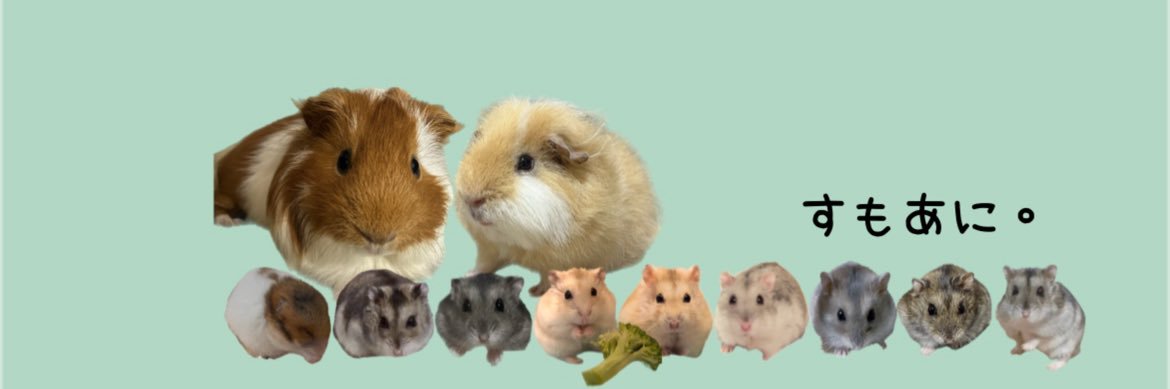 ようちゃん＆Rai.Noi.Sui.Ruito.Haruto🐹🐹🐹🐹🐹 banner