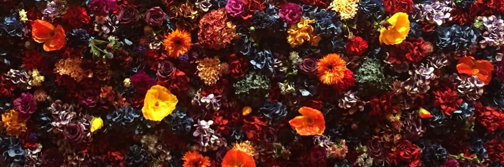 yoanna811's profile banner image