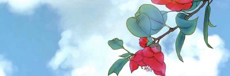 hawasurya's profile banner image