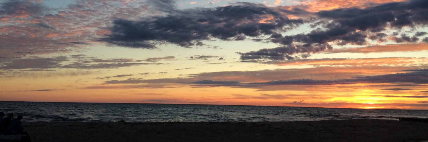 Justina Liss banner