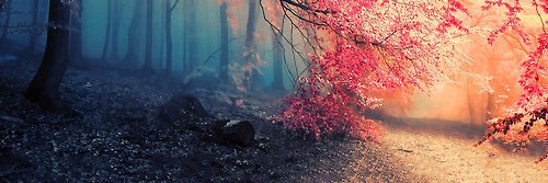 Rob_Ferr4's profile banner image