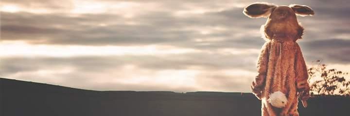 Anamariaa__'s profile banner image