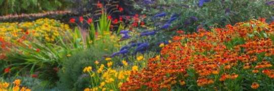 Jeanette 🎭 banner