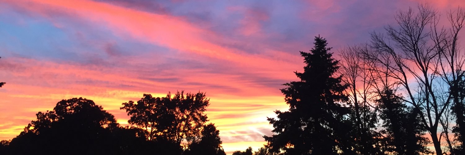 cfort8's profile banner image