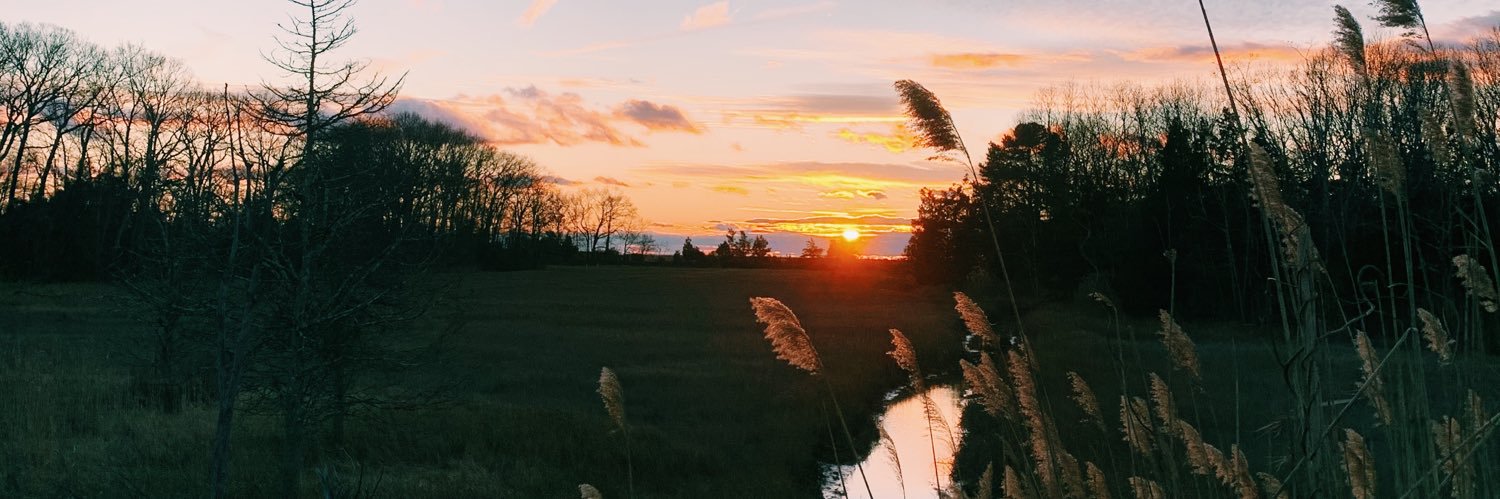 _erinryan's profile banner image