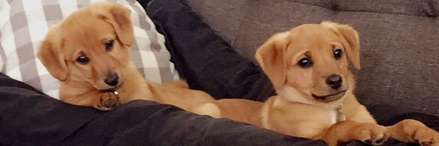 brianpepoy's profile banner image