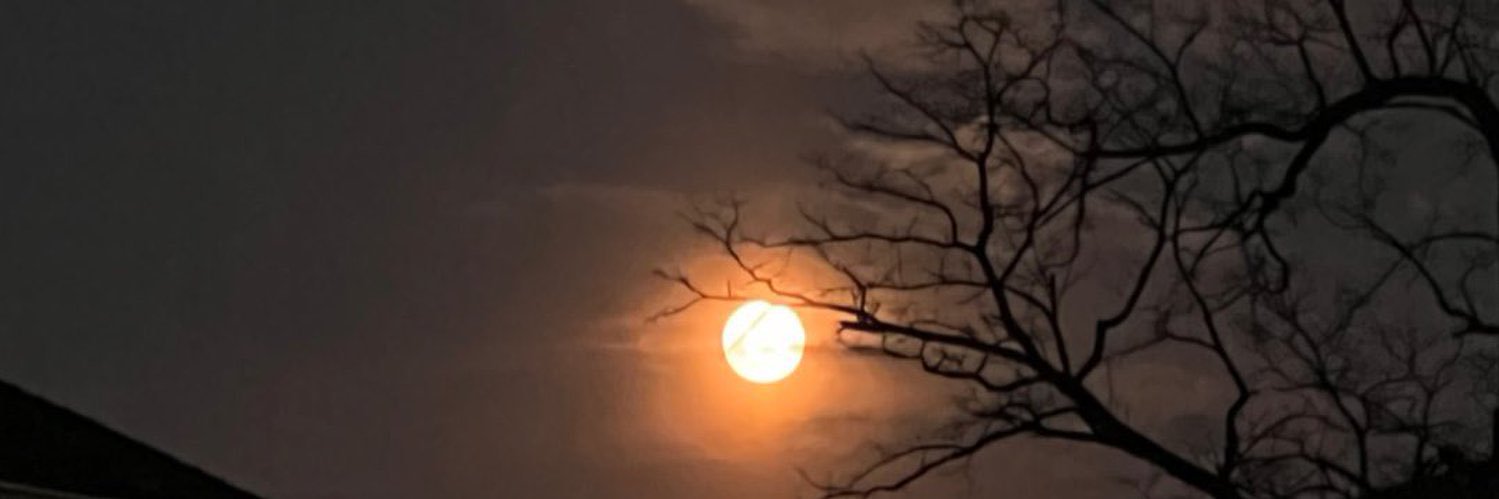 JacobRenteria1's profile banner image