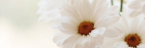 anooo عالميه💙🤍 banner