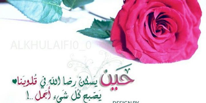 emad992's profile banner image