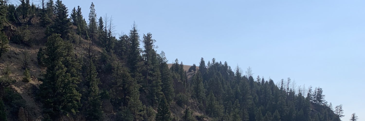 Madison Feller banner