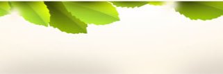 Tiara banner