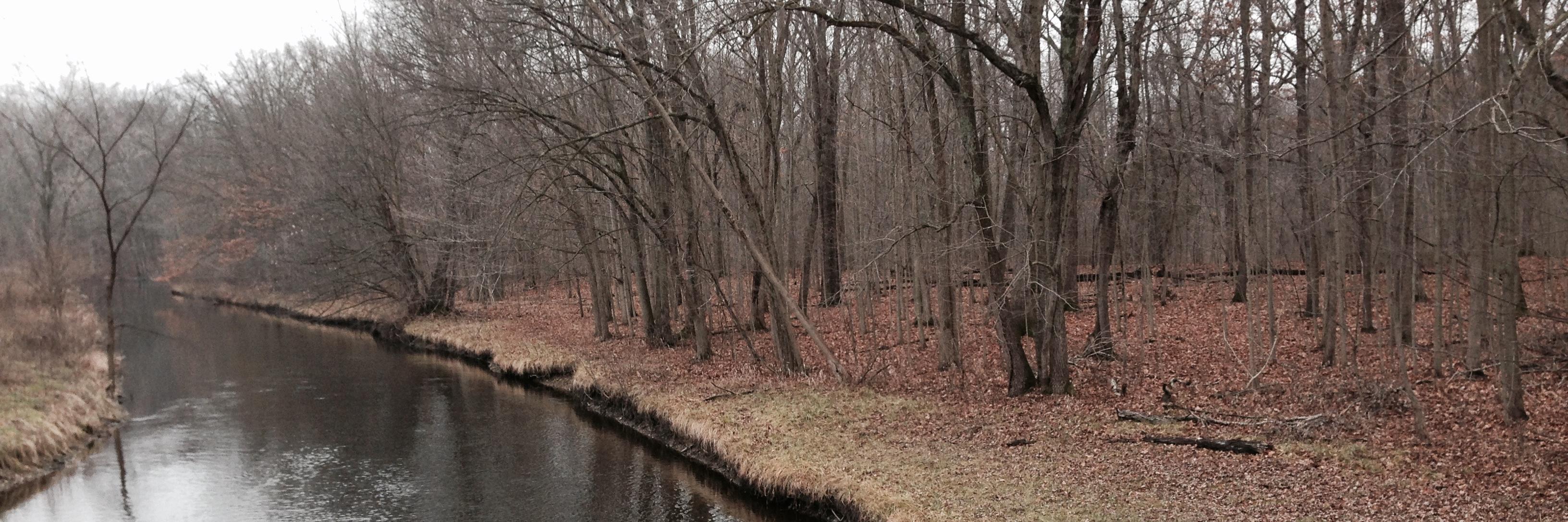 andrtnnr's profile banner image