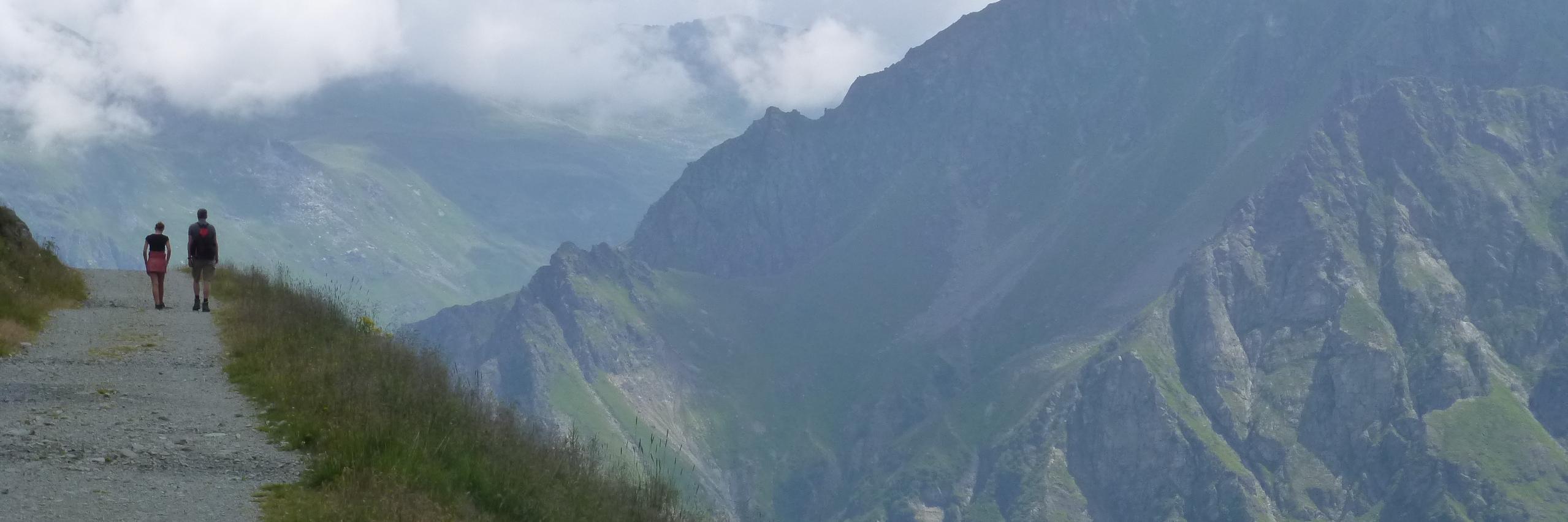 Sandra Warmolts banner