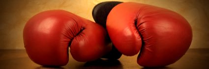 MSP Boxing Team banner