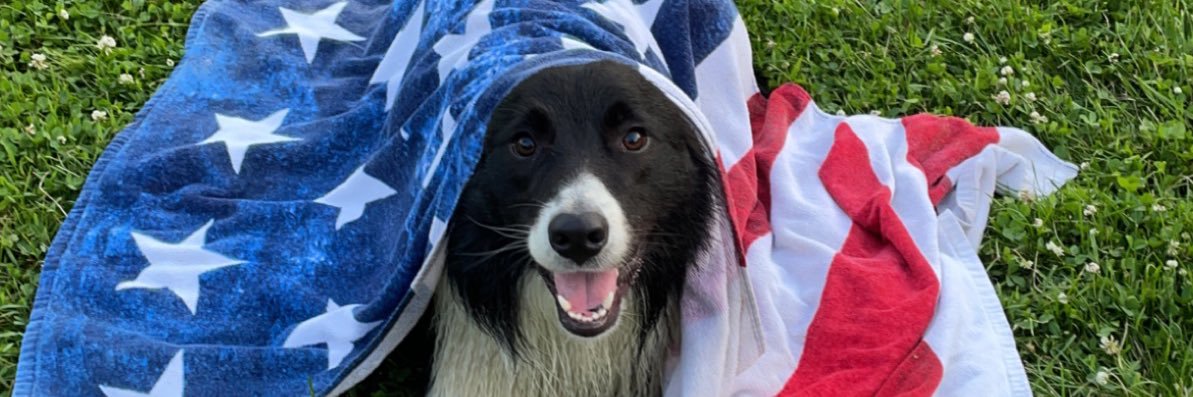 C_Dogg24's profile banner image