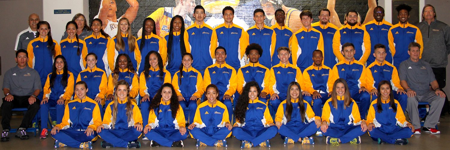 CsubTrack's profile banner image