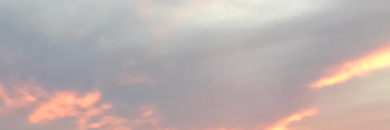 TSchneblin's profile banner image