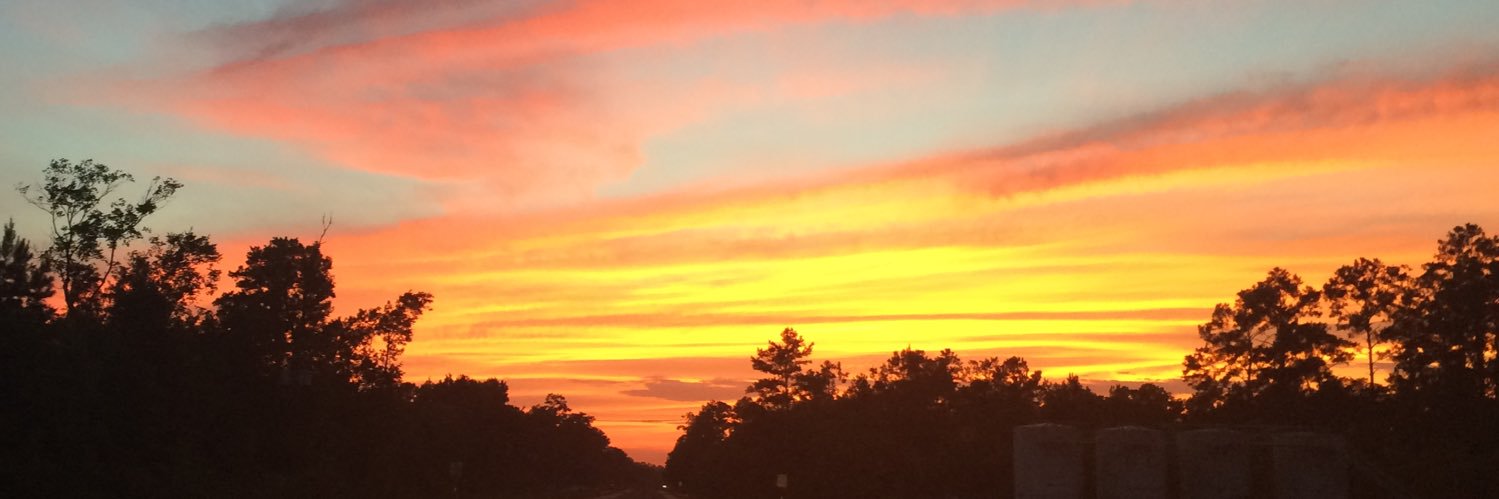 kohner_bryan's profile banner image