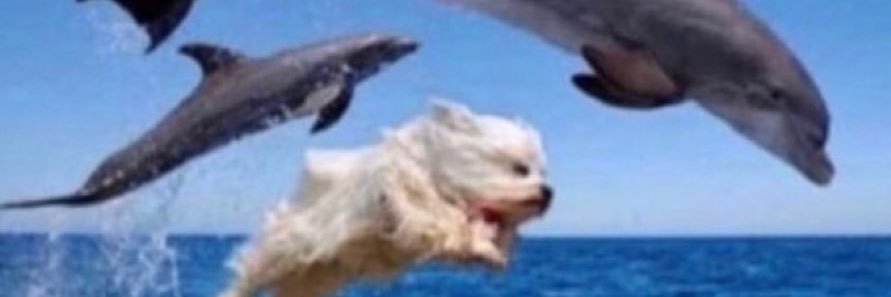 PaytonBerman1's profile banner image