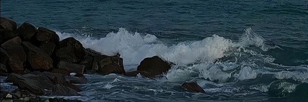 stannds Profile Banner