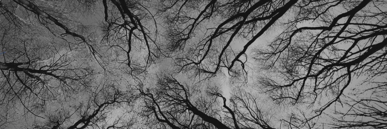 Cheikh guevara banner