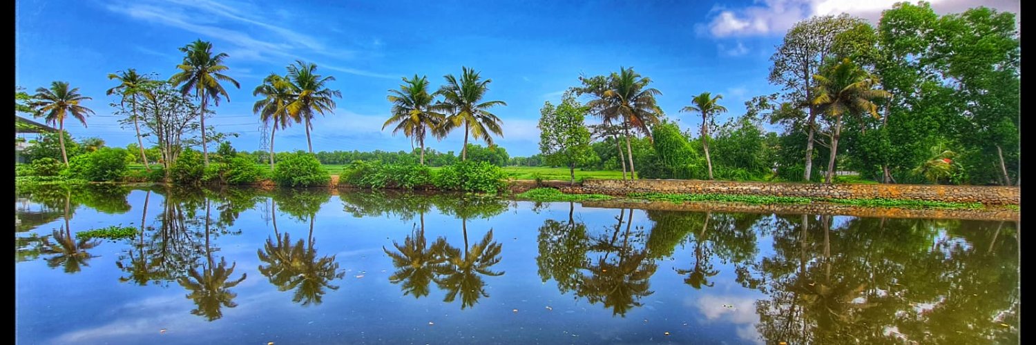 pavpil's profile banner image