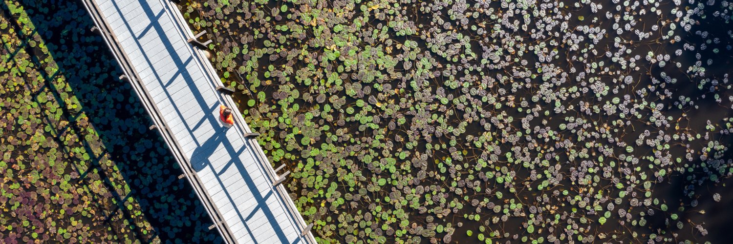 Department of Planning, Housing and Infrastructure banner