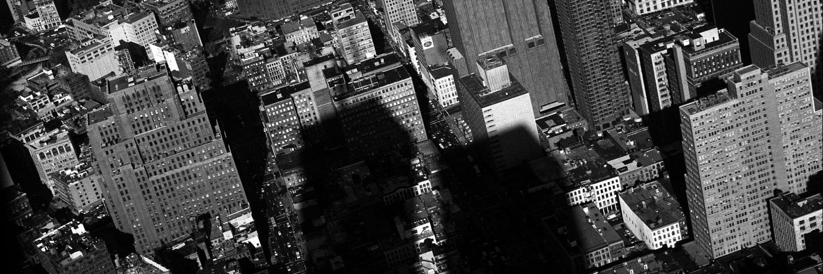 eddytrade's profile banner image