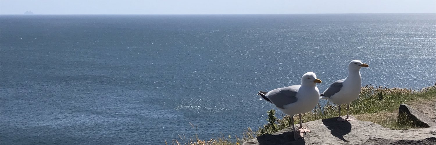 LLeRose17's profile banner image