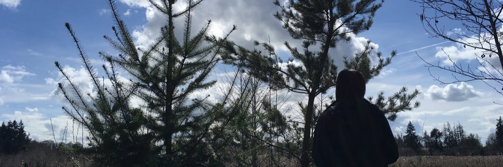 sadierose42's profile banner image
