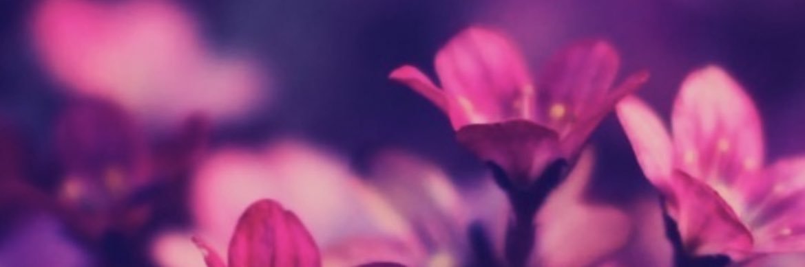 BralynnFerguson's profile banner image