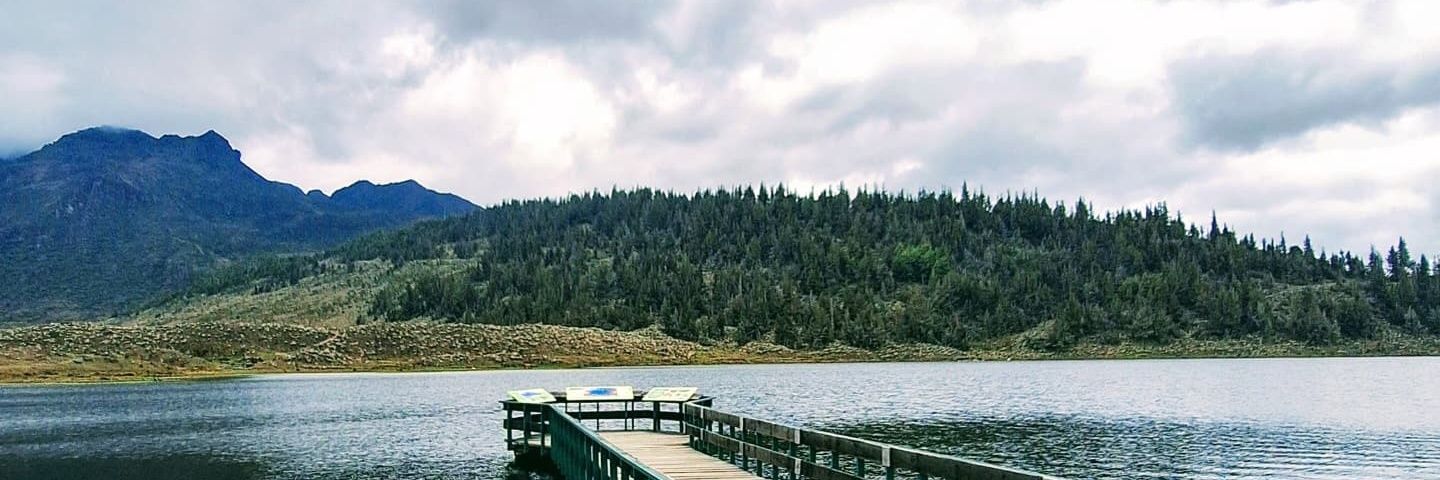 geraldinbarrera's profile banner image