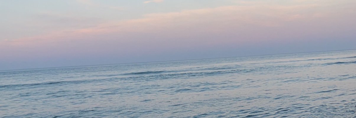 julierabchuk's profile banner image