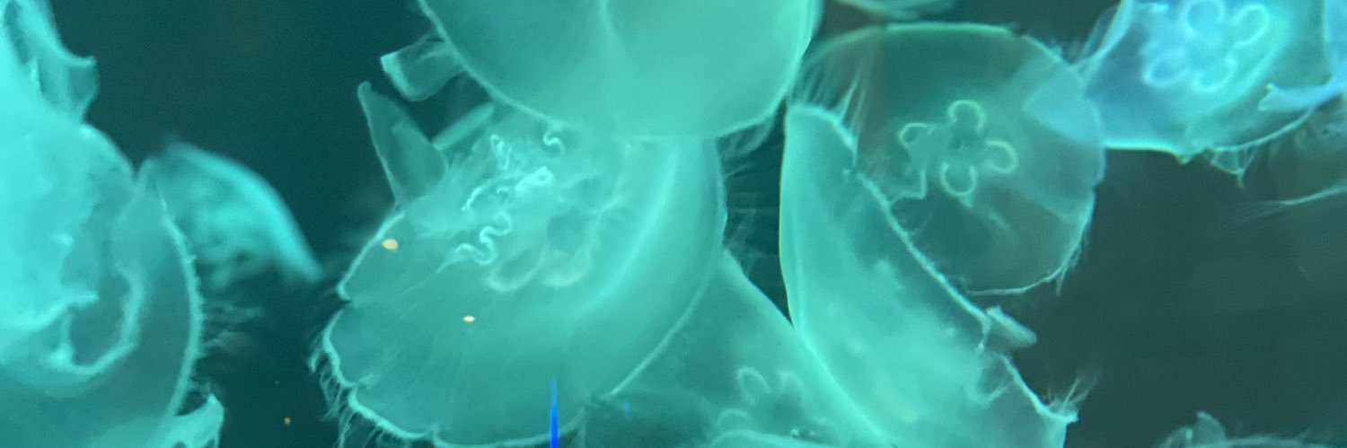 kaylanoon12's profile banner image