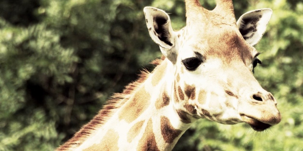 tallestproblems's profile banner image