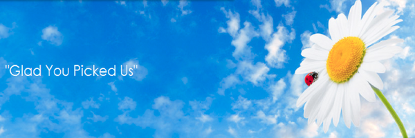 pickymaid Profile Banner