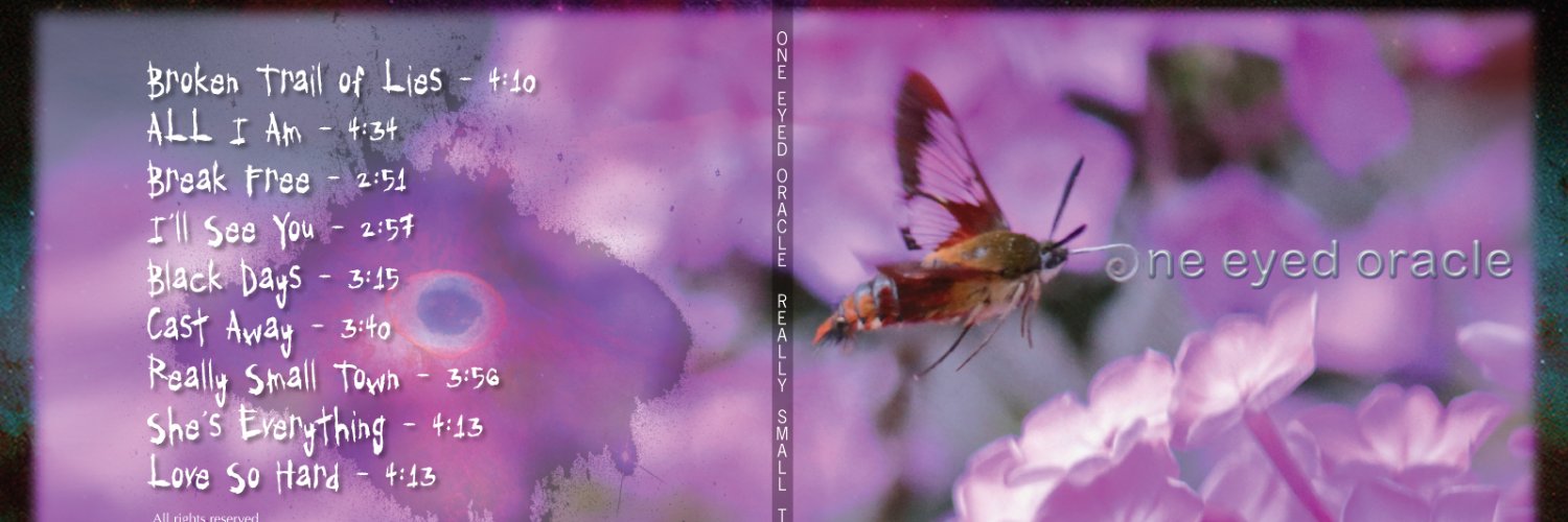 One Eyed Oracle banner