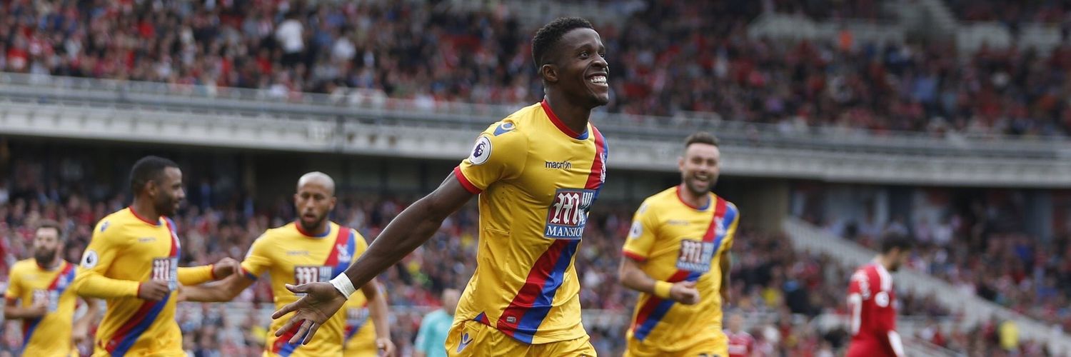 CPFC Rollercoaster 🎢🦅❤💙 banner